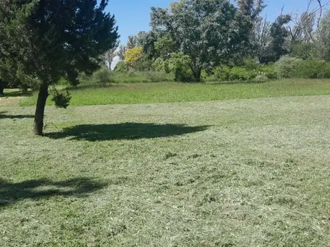 TERRENO DE 4000 MTS2 EN VILLA DEL PRADO