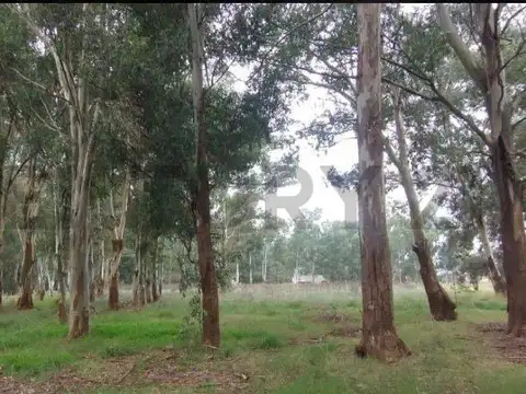 Terreno en Venta 112,89  mts Frente