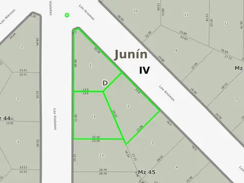 Los Aromos y Las Violetas