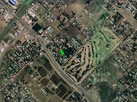 Los Aromos y Las Violetas