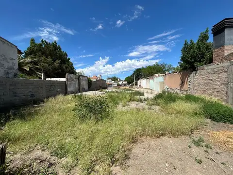 ALQUILO TERRENO DE 705 M2, CIPOLLETTI