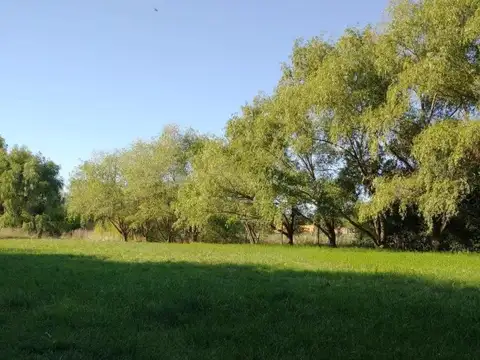 Terreno en Venta en Cañuelas, USD 65.000