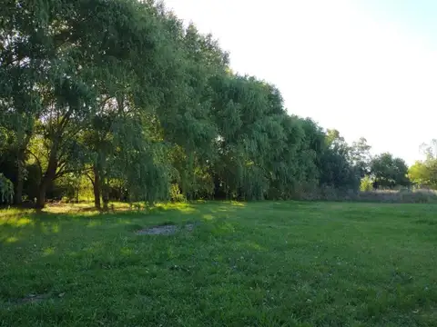 Terreno en venta - 4.216Mts2 - Cañuelas