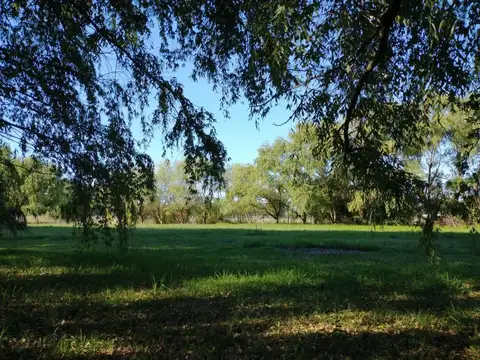 Terreno en venta - 4.216Mts2 - Cañuelas