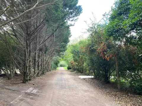 Terreno en Venta 44  mts Frente