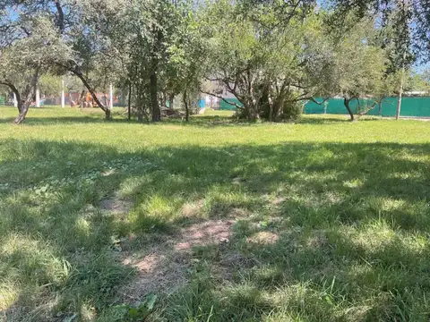 Ruta Provincial E53 100