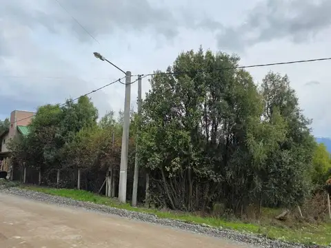 Tierra del Fuego y Neuquen 100