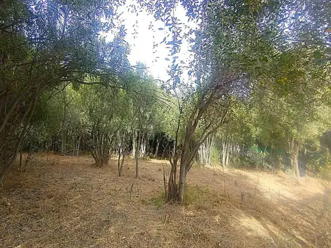 Terreno en Venta de 554,0 m2