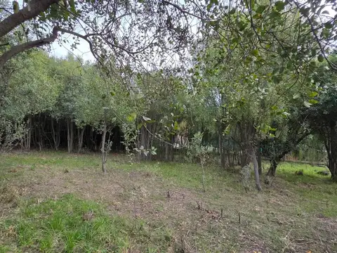 Terreno en Venta de 554,0 m2