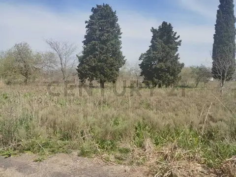 Terreno en Venta 30  mts Fondo