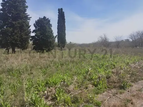 Terreno en Venta de 600,0 m2