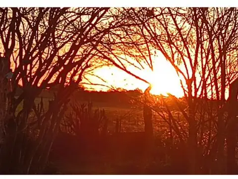  Oportunidad Única en Entre Ríos*Hasenkamp!  