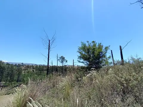 Terreno en Venta de 6928,0 m2