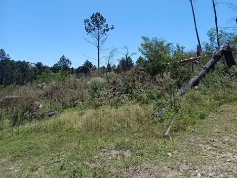 Terreno en Venta de 6928,0 m2