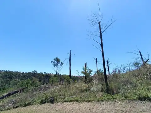 SE VENDE LOTE C/ARROYO PROPIO EN VILLA DEL CONDOR