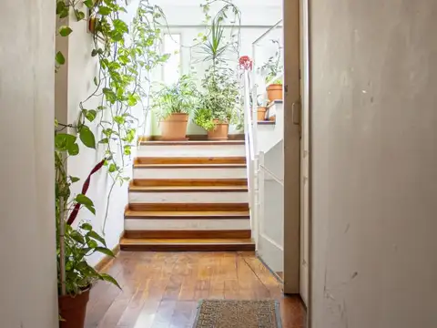 Neuquen 1900, Piso 2