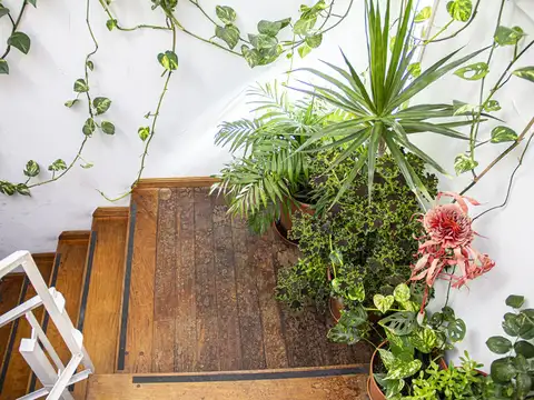 Depto Tipo Casa Monoambiente con 1 baño