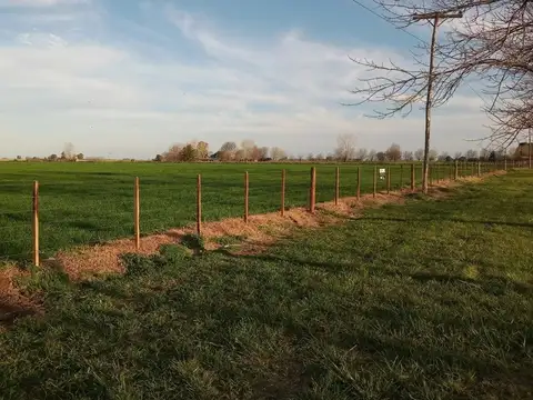 Campo en Venta con Alambrado