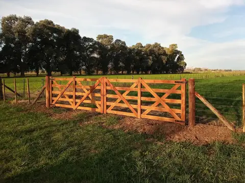 Campo en Venta de 1  ha