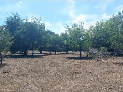 Terreno en Venta de 23734,0 m2