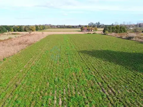 17 HECTAREAS CAMINO A SAN CARLOS A 4KM DE CIRCUNVALACION