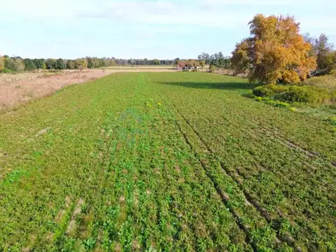 Terreno en Venta 805  mts Fondo