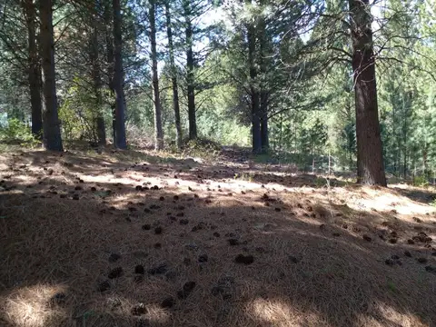 Terreno en Venta en San Martin De Los Andes, USD 73.746