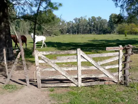 Casa en Venta con 6 cocheras