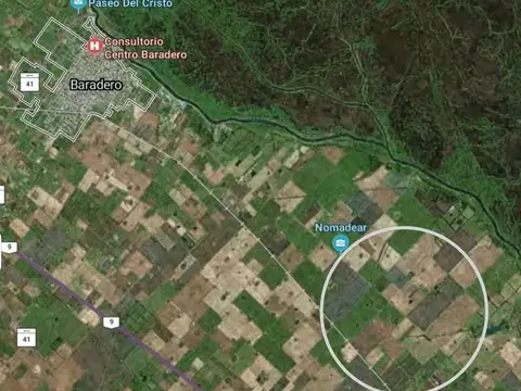 155 Ha. Excelente campo - Suelo 1 . Ubicado en ruta interna que conecta Alsina y Baradero.