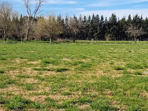 Terreno en Venta de 754,0 m2