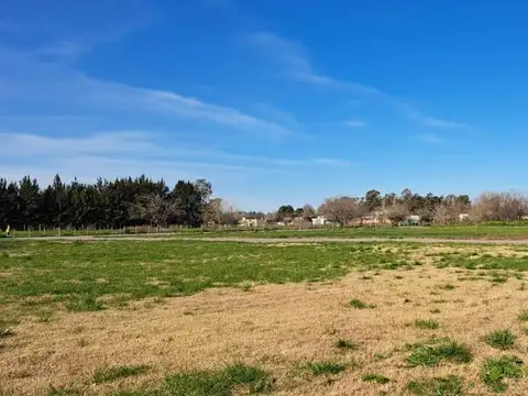 Loteo - Terrenos en venta - Cañuelas - "El Molino"