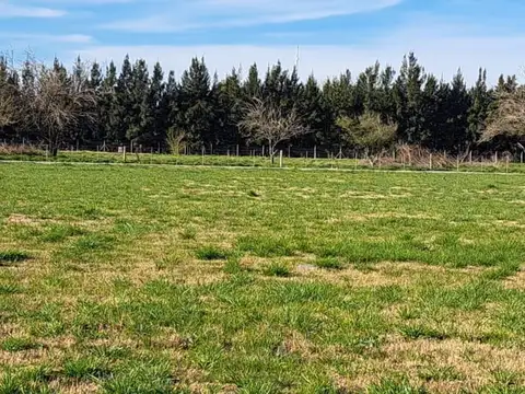 Terreno en Venta en Cañuelas, USD 32.000