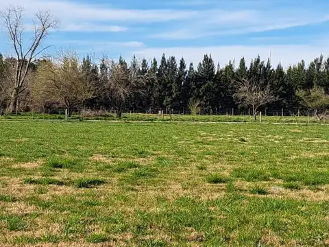 Terreno en Venta en Cañuelas, USD 32.000