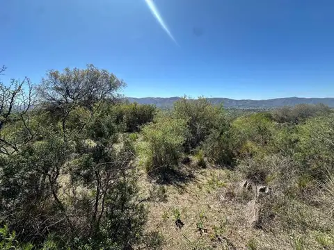 doctora alicia moreau de justo