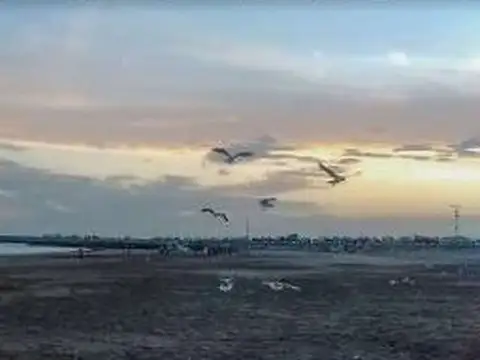 Terreno en Venta en Quequen, USD 10.000