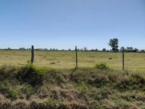 Campo  230 has en  Bella Italia