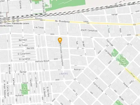 Martiniano Leguizamon 100