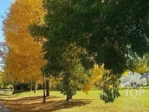 Terreno en Venta 35  mts Fondo