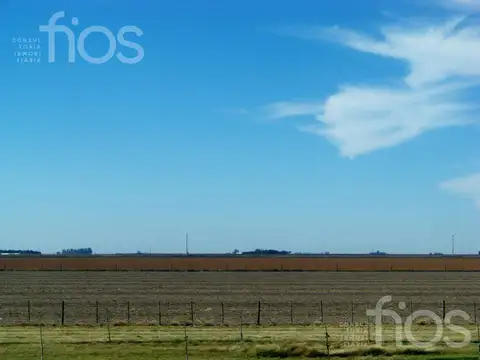 Terreno en Venta en Villa Elvira, USD 19.500