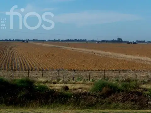Quebrada de Andino II