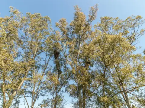 VENTA DE LOTE EN BARRIO CERRADO LISTO PARA ESCRITURAR