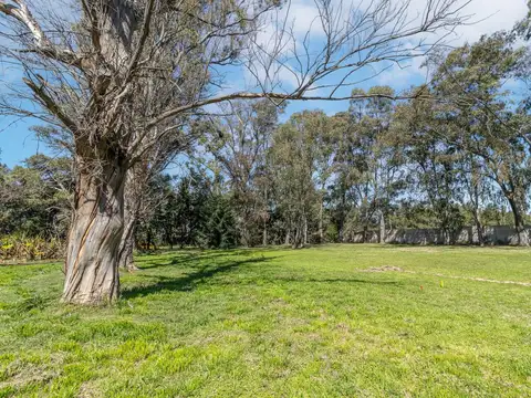 Terreno en Venta de 420,0 m2