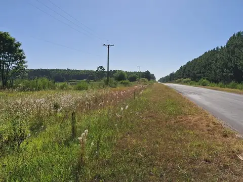 Quinta en Venta 30 años