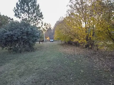Oportunidad Terreno / Lote en  Estancia La Catalina – Club de campo – Barrio Privado Roldan