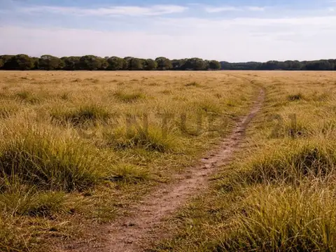 ALQUILER 1447 HECTAREAS EN ENTRE RIOS