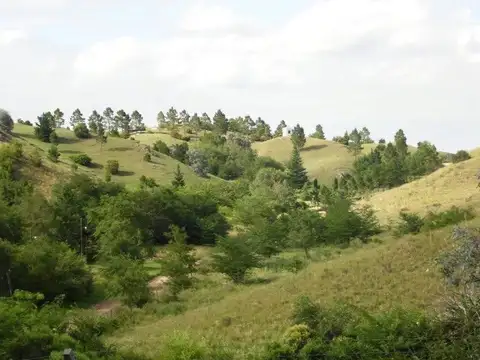 Terreno en Venta de 1041,0 m2