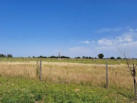 Terreno en Venta en Pergamino, USD 42.000