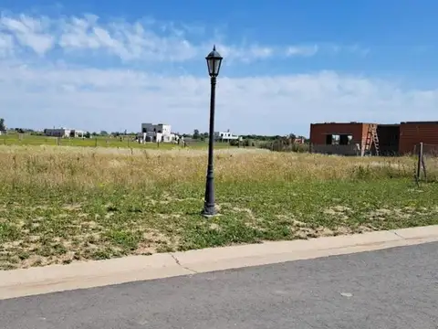 Avenida Carlos Pellegrini