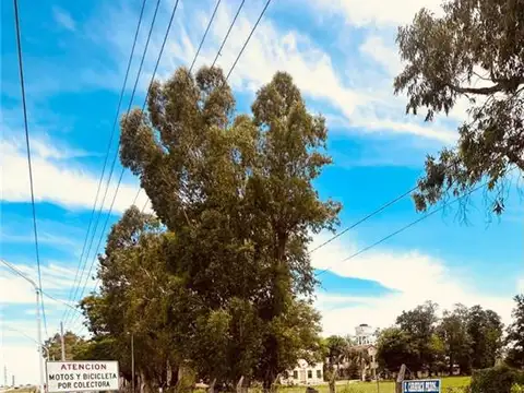 Terreno en Alquiler 90  mts Fondo