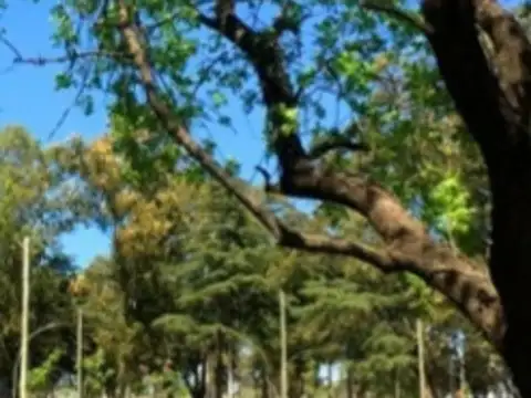 Terreno en Venta de 709,0 m2